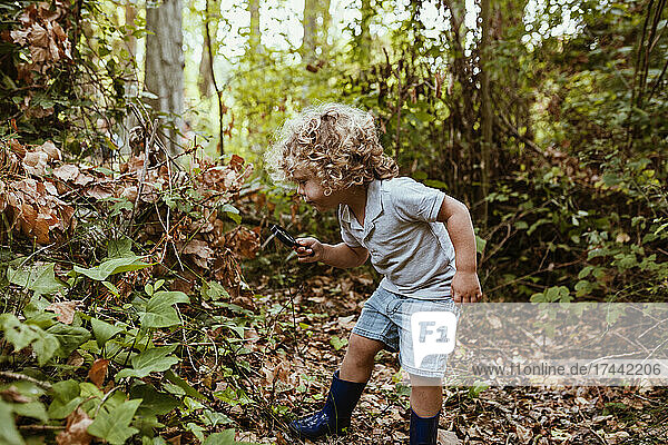 Curious boy with curly hair looking at plants through magnifying glass in forest