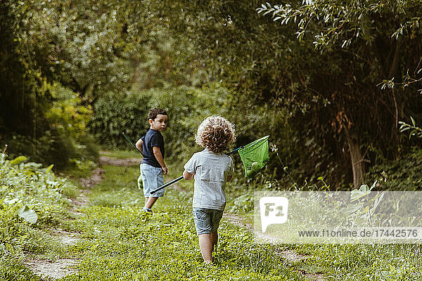 Boys collecting pears in fishing net while walking on grass in forest