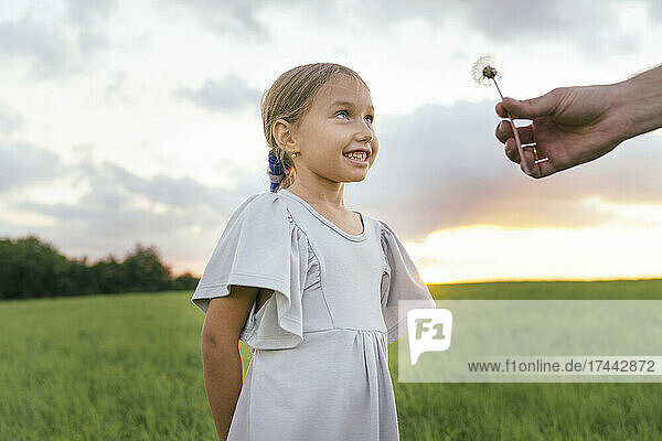 Smiling girl looking at father giving Dandelion flower at field