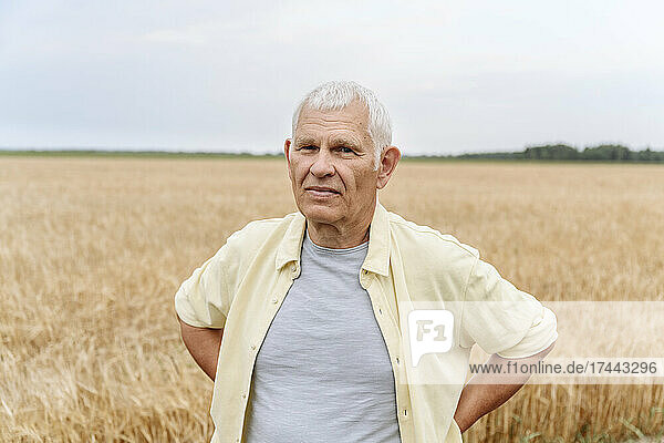 Senior man with hands behind back at wheat field