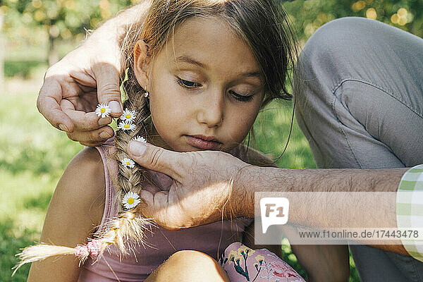 Man decorating daughter's hair with flowers on sunny day