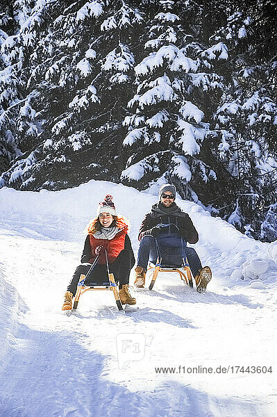 Mid adult couple tobogganing on snow
