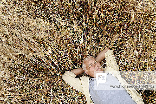 Senior man with hands behind head resting on wheat field