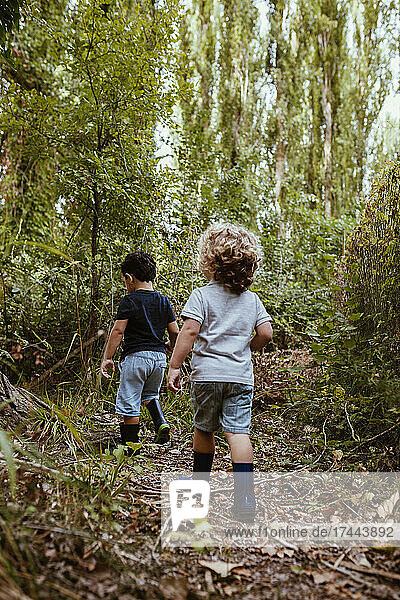 Carefree boys walking together in forest