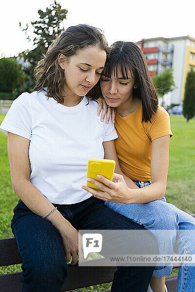 Lesbian couple sharing mobile phone while sitting on bench