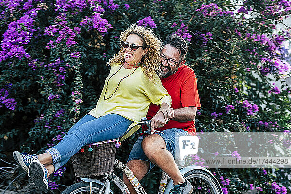 Happy mature man riding bicycle with girlfriend sitting on basket at park