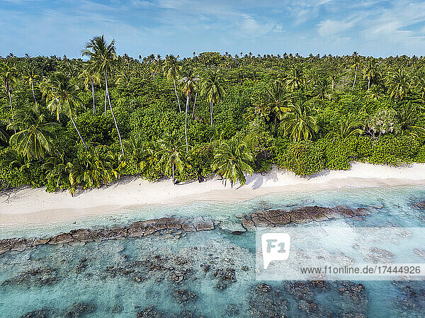 Maldives  Kolhumadulu Atoll  Aerial view of forested coastline of Kanimeedhoo island