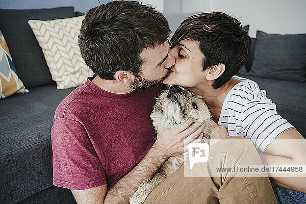 Zärtliches Paar küsst sich  während es zu Hause mit einem Mischlingshund sitzt