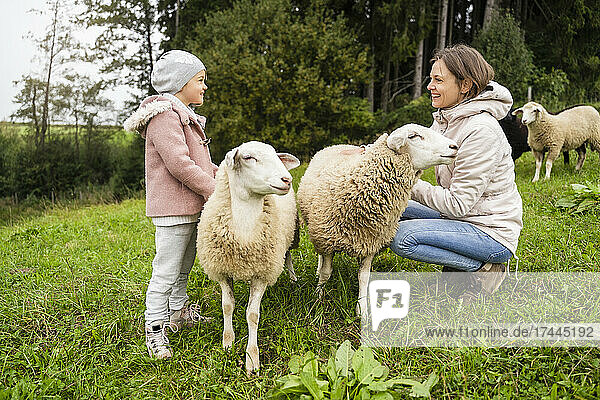 Smiling mother and daughter with sheep looking at each other in farm