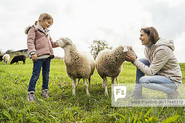 Smiling mother and daughter with sheep at field
