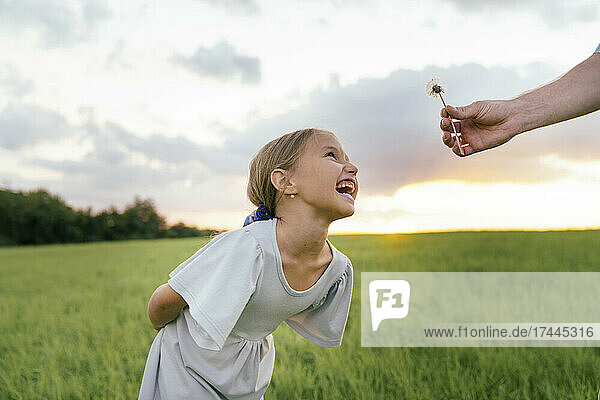Girl with hands behind back laughing while father giving flower during sunset