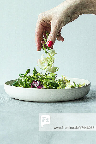 Hands putting ingredients in a salad