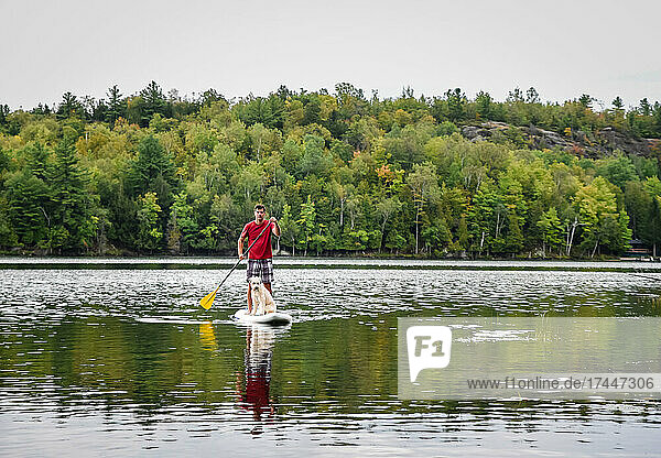 Man paddling a stand up paddleboard SUP with his dog on a lake.