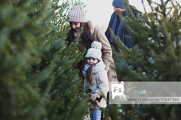 Happy family choose the Christmase tree for the evening celebration
