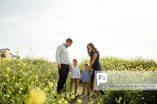 Family of Four in Wildflower Field in San Diego