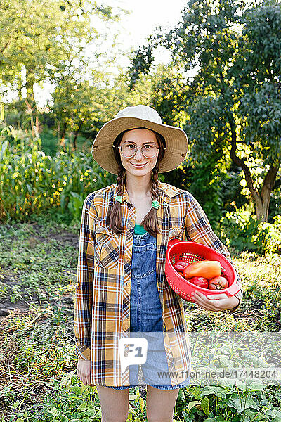 Young female farmer harvests peppers and tomatoes