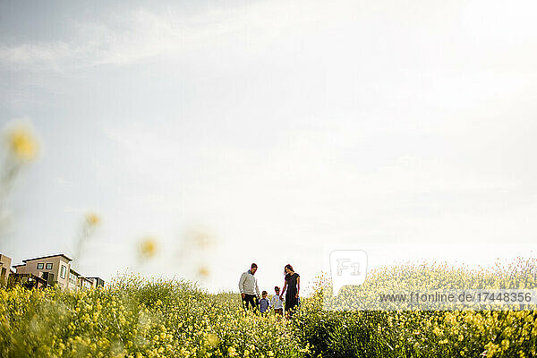Wide View of Family in Wildflower Field in San Diego