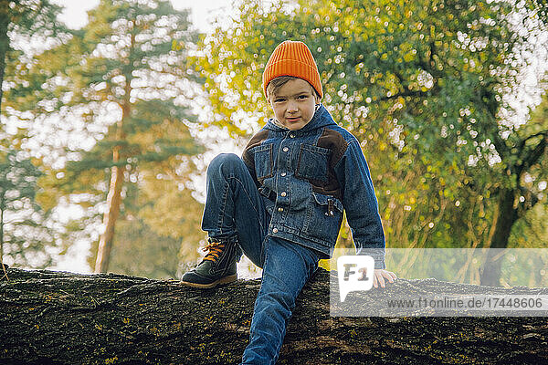 Boy hiking in autumn forest. Concepts of adventure  tourism for kids.