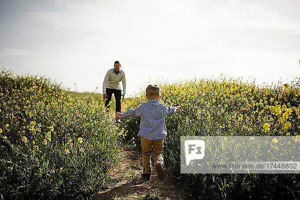 Young Boy Running to Dad in Wildflower Field in San Diego