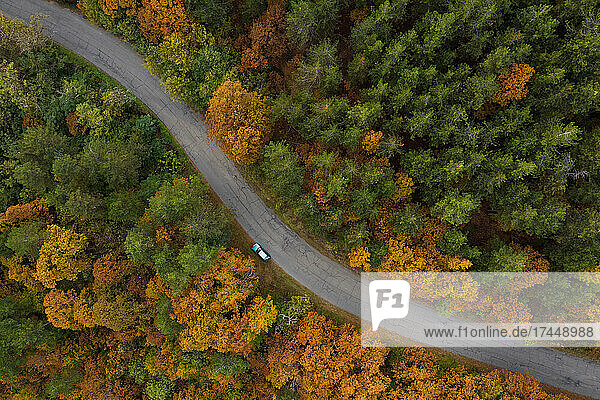 Aerial view to a road in the forest