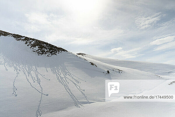 White sunny snow mountain landscapes