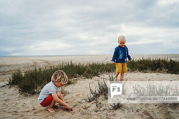 Cute young children playing in sand dunes at beach on overcast day