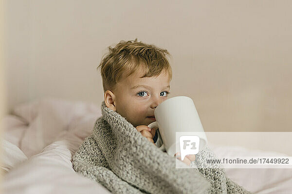 Toddler boy in grey blanket sitting on bed and drinking from white cup