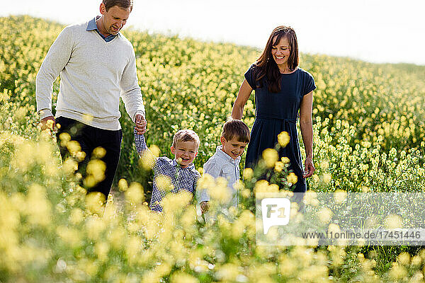Family of Four Walking Through Wildflower Field in San Diego