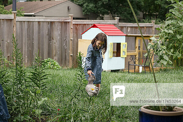 A little girl reaches down to pet chicken in backyard garden