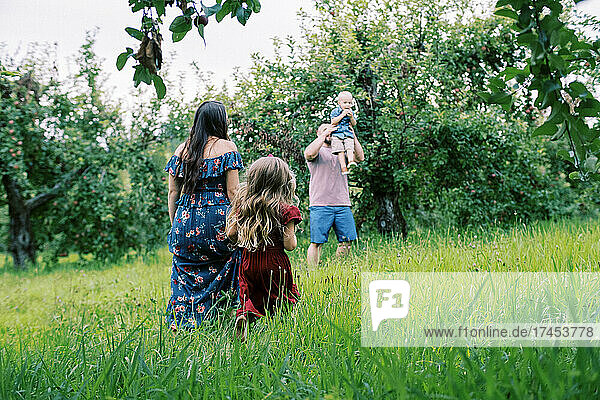 Family of four walking in between apple trees in summer