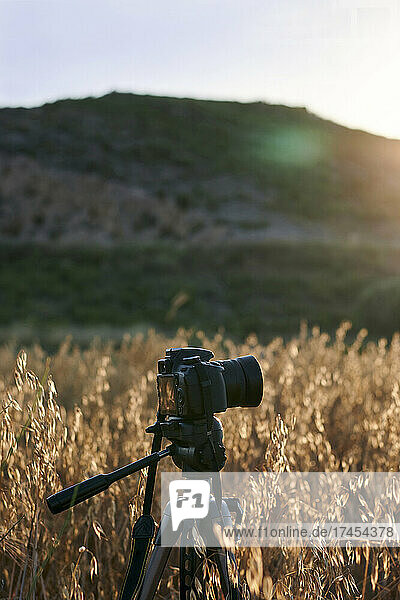 Camera on a tripod in a meadow at sunset