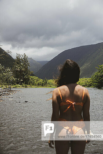 Female in bikini looks at mountain valley and river view