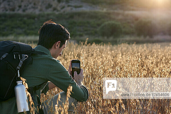 Man photographer takes a picture with his mobile in a meadow at sunset