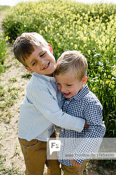 Brothers Hugging in Wildflower Field in San Diego