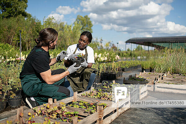 Multiracial farmers discussing plants in garden