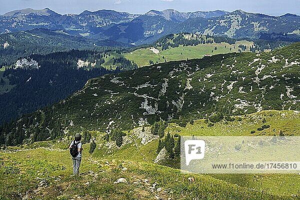 Wanderin blickt vom Wanderweg Obere Gottesackerwände in Richtung Norden auf die Allgäuer Alpen  bei Riezlern  Kleinwalsertal  Allgäu  Vorarlberg  Österreich  Europa