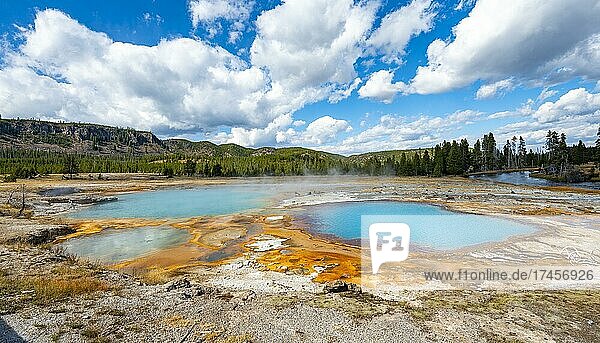 Black Opal Pool  Heiße Quelle  Gelbe Algen und Mineralienablagerungen  Biscuit Basin  Yellowstone Nationalpark  Wyoming  USA  Nordamerika