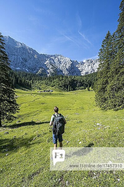 Hikers on the way to the Schachenhaus  Wettersteinalm at the back  Wetterstein range  Garmisch-Partenkirchen  Bavaria  Germany  Europe