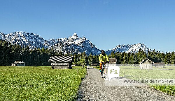 Mountainbiker auf Straße durch Wiese mit Heustadln  hinten verschneite Berggipfel im Frühling  Mieminger Kette mit Ehrwalder Sonnenspitze  Ehrwald  Tirol  Österreich  Europa