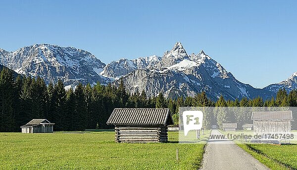 Road through meadow with hay barns  in the background snow-covered mountain peaks in spring  Mieminger Kette with Ehrwalder Sonnenspitze  Ehrwald  Tyrol  Austria  Europe
