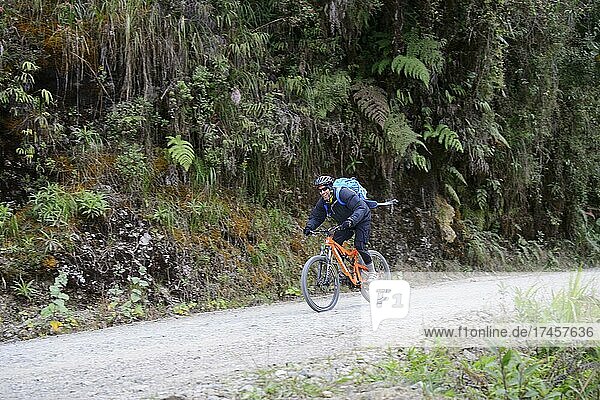 Cyclist  mountain biker  on the road of death  Camino de la Muerte  La Paz department  Bolivia  South America