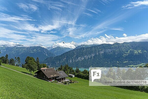 Landschaft mit Thunersee  im Hintergrund das Berner Dreigestirn Eiger  Mönch und Jungfrau  Beatenberg  Berner Oberland  Schweiz  Europa