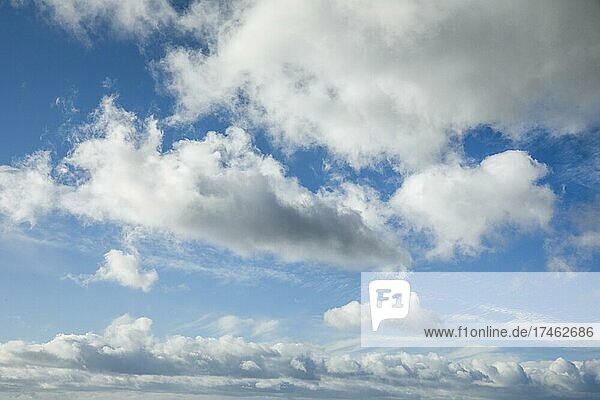 Schäfchen-. Schleier- und Haufenschichtwolken zieren bei starkem Wind den blauen Himmel