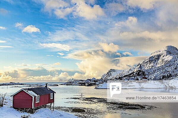 Fischerhäuser in A  Moskenes  Moskenesoya  Lofoten  Nordland  Norwegen  Europa