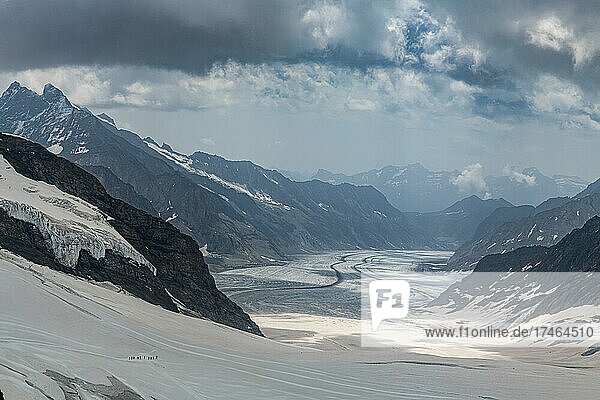 Overlook over the Aletsch Glacier from the Jungfraujoch  Bernese Alps  Switzerland  Europe
