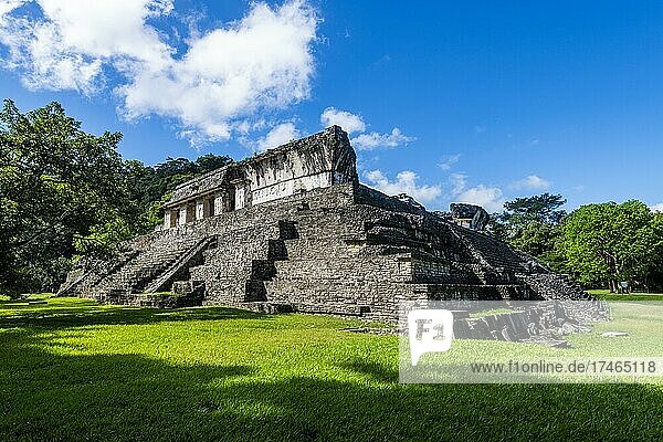 Unesco-Weltkulturerbe  die Maya-Ruinen von Palenque  Chiapas  Mexiko  Mittelamerika