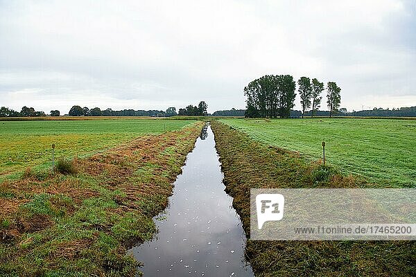 Südradde  beidseitig landwirtschaftliche Nutzfläche  im Hintergrund Gehöze  Lindern  Niedersachsen  Deutschland  Europa