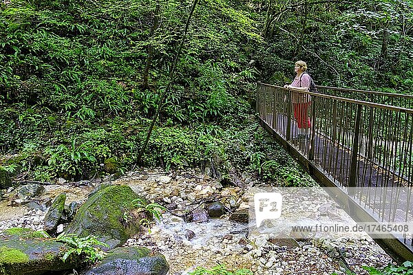 Brücke  Treppen und Stege  Rastenbachklamm bei Kaltern  Etschtal  Südtirol  Italien  Europa