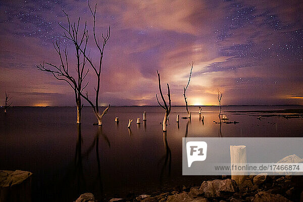 View of bare trees in flood water against milky way in sky  Villa Epecuen
