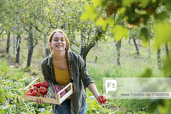 Happy female farmer with crate holding tomato in garden